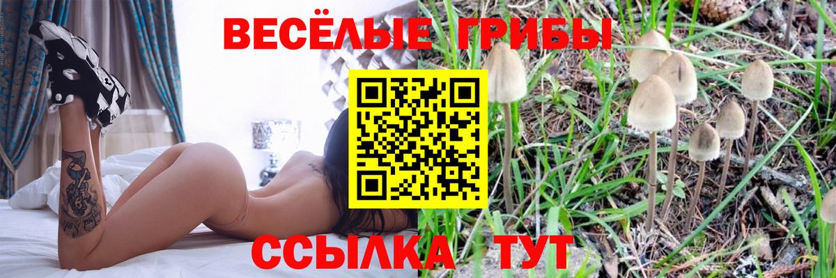 Галлюциногенные грибы Magic Shrooms Кострома