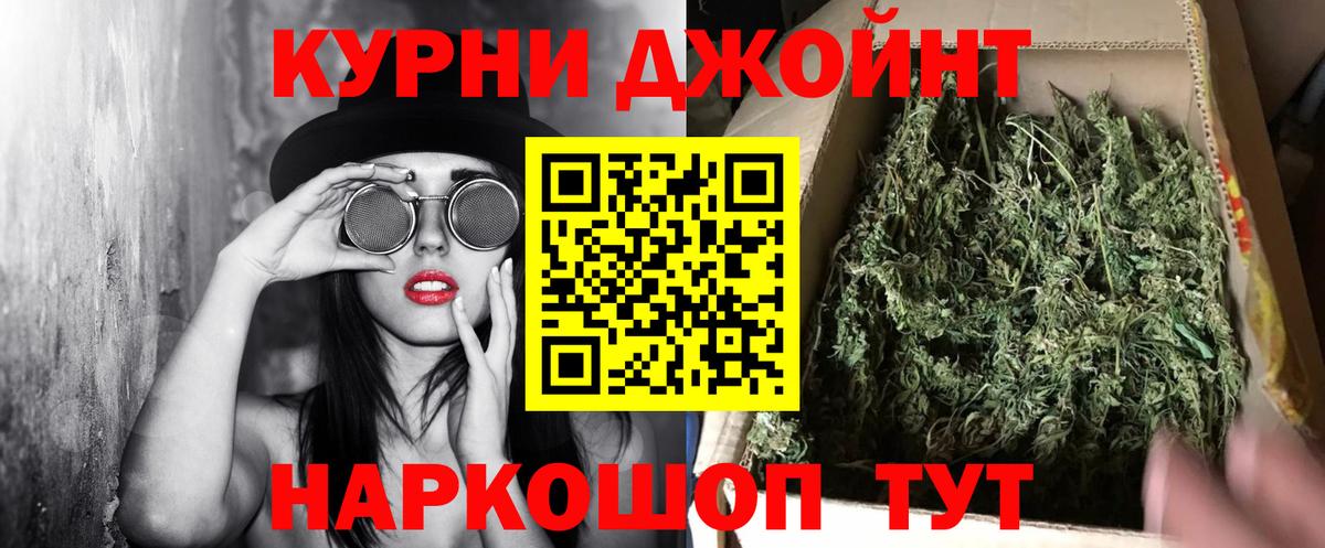 Бошки Шишки сатива Кострома
